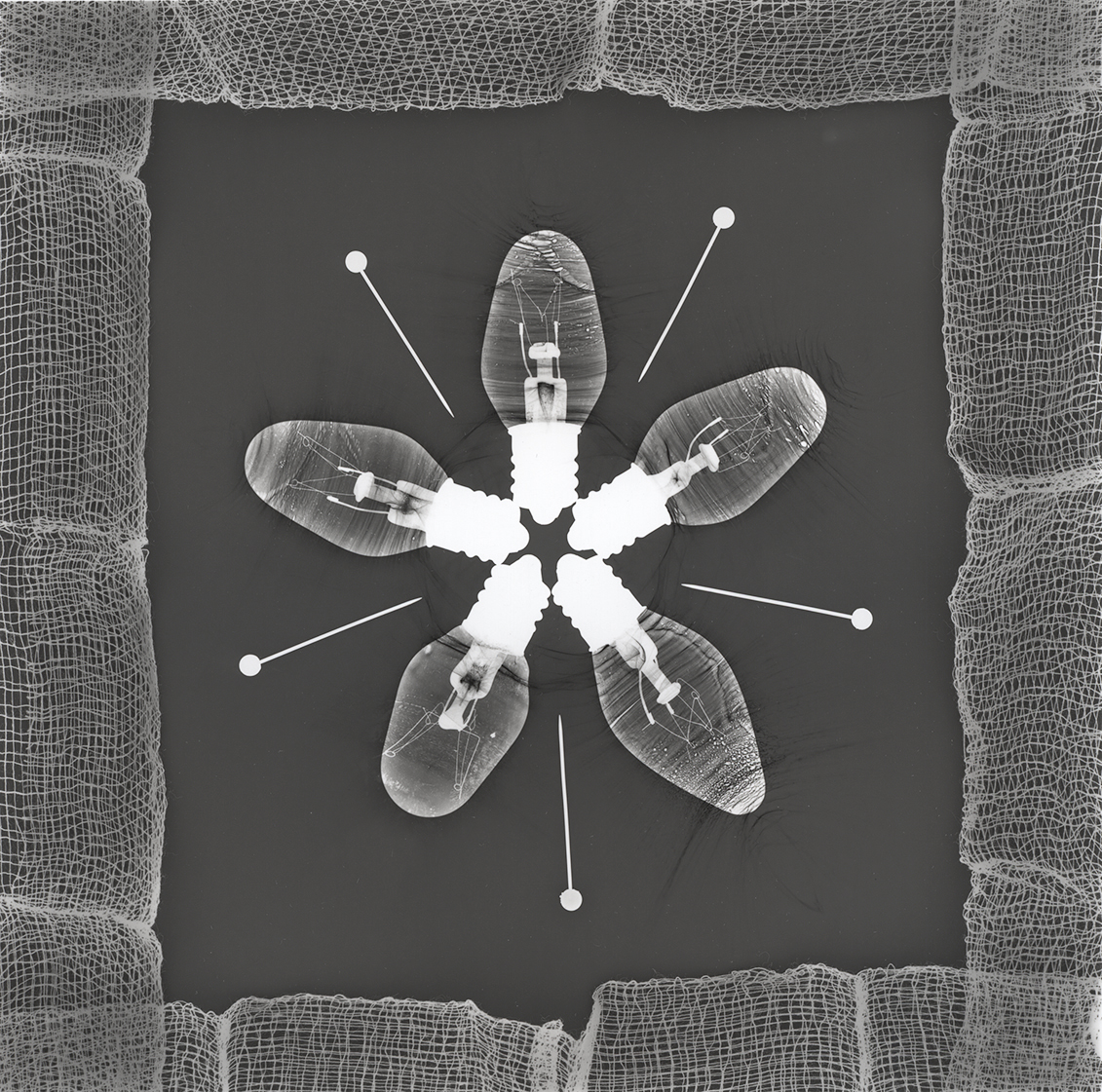 Pins, lightbulbs and gauze, photogram on RC paper